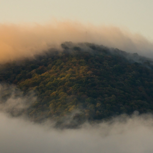 A banner image showing a mountain with fog.